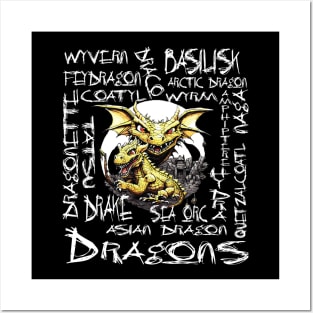 Different Types of Dragons For All Dragon Lovers Mythical Role Playing Posters and Art